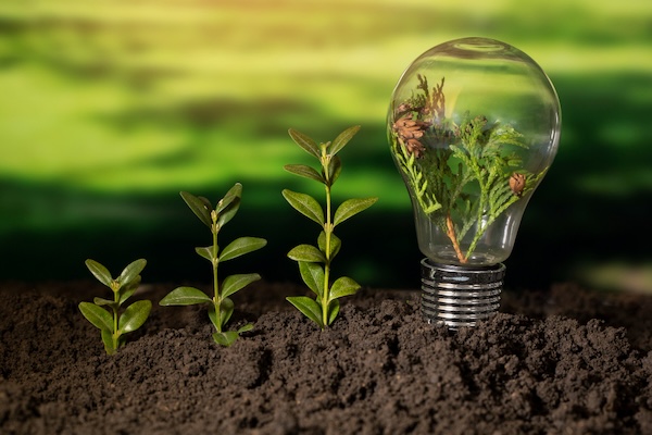 VAMOS CULTIVAR A INNOVABILTY